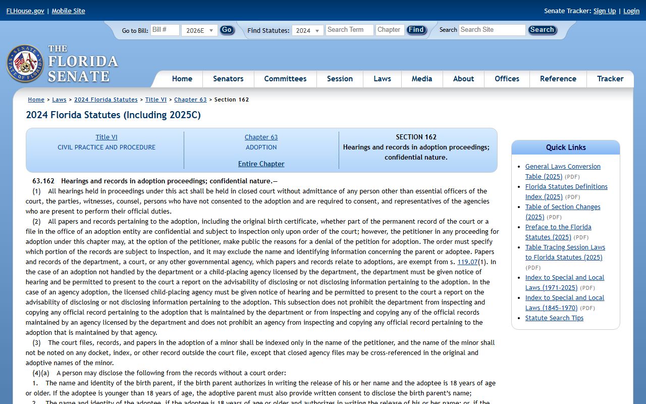 Palm Beach County public records Florida Statutes 63.162 adoption confidentiality